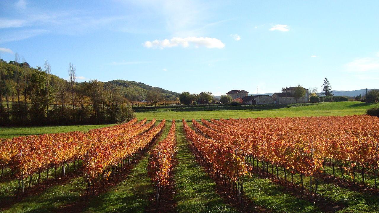 Hotel Terres De France - Domaine De Claire Rive Prayssac Exterior foto